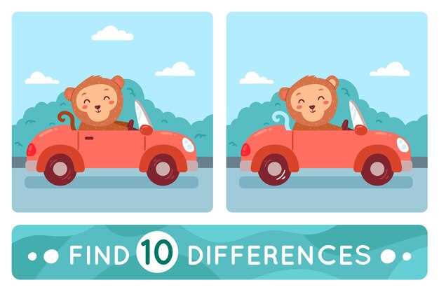 Rally cars vs track cars – key differences